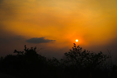 Low angle view of silhouette plants against romantic sky