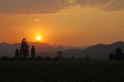 Scenic view of field against sky during sunset