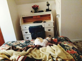 Dog sleeping on bed at home