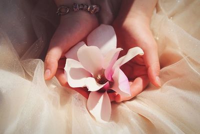Close-up of hand holding pink flower