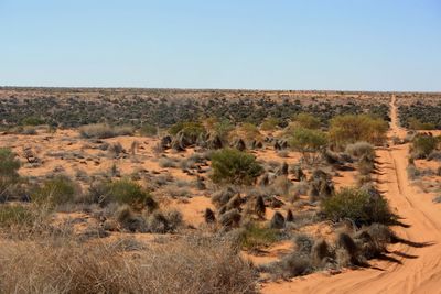 Scenic view of landscape against clear sky