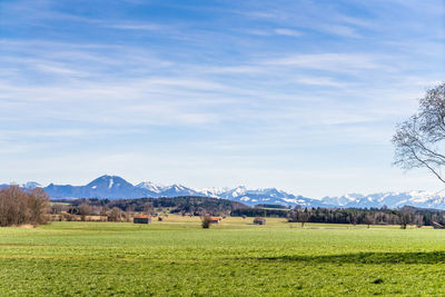 Scenic view of field against sky