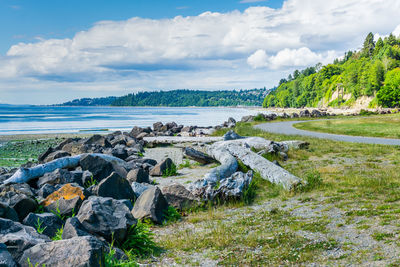 Rock line the at saltwater state park in des moines, washington.