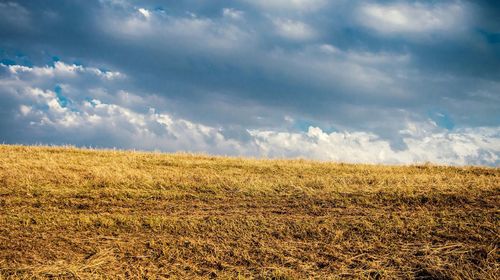 Scenic view of field against cloudy sky