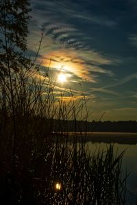 Silhouette plants by lake against sky during sunset