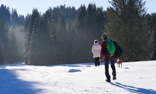 Rear view of man walking on snow covered landscape