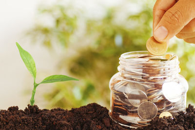 Cropped hand putting coin into jar on dirt outdoors