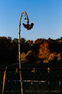 Wire against sky