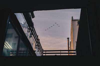 Low angle view of silhouette birds flying against sky