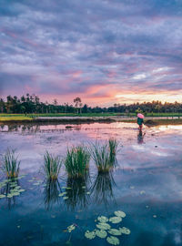 Reflection of man in water against sky