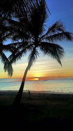 Silhouette tree on beach against sky during sunset