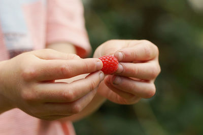 Close-up of hand holding red berries