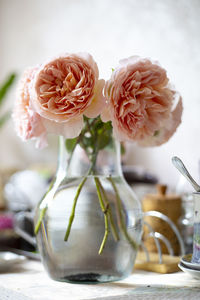 Close-up of rose in vase