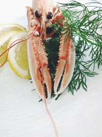 Close-up of crayfish with herb and lemon in plate