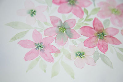 High angle view of pink flowering plant