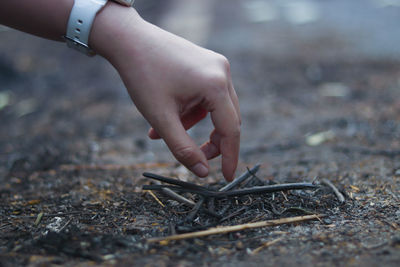 Close-up of human hand holding wood