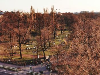 Road by trees in city against sky