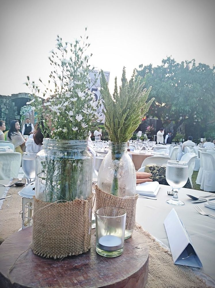 table, plant, nature, setting, place setting, no people, glass, day, tree, glass - material, decoration, business, tablecloth, transparent, absence, plate, food and drink, furniture, wineglass, chair, outdoors