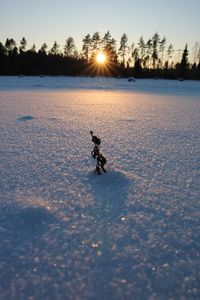 Snow on field against sky during sunset