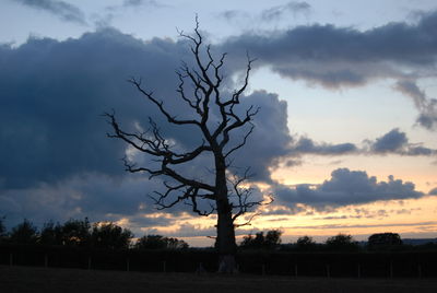 Silhouette bare tree against sky during sunset