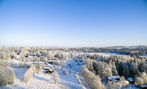 Scenic view of pine trees on snow covered field against clear sky