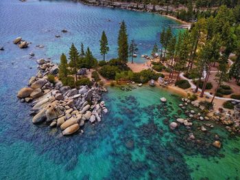 High angle view of rocks by swimming pool