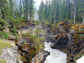 Stream flowing through rocks in forest