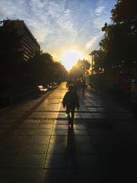 Rear view of woman walking on footpath in city