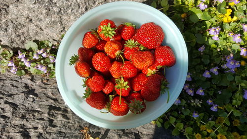 High angle view of strawberries in bowl