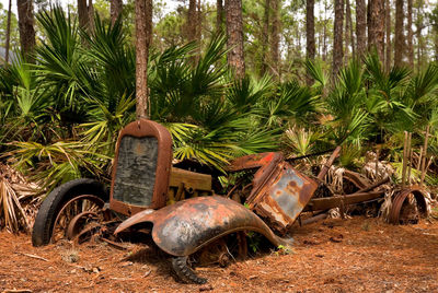 Old rusty bicycle on field