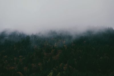 Scenic view of trees against sky during foggy weather