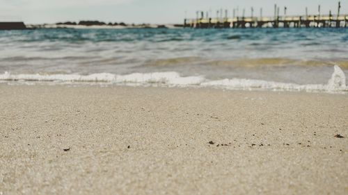 Scenic view of beach