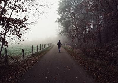 Rear view of man walking on road amidst trees during autumn