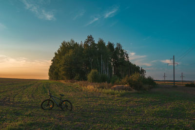 horizon