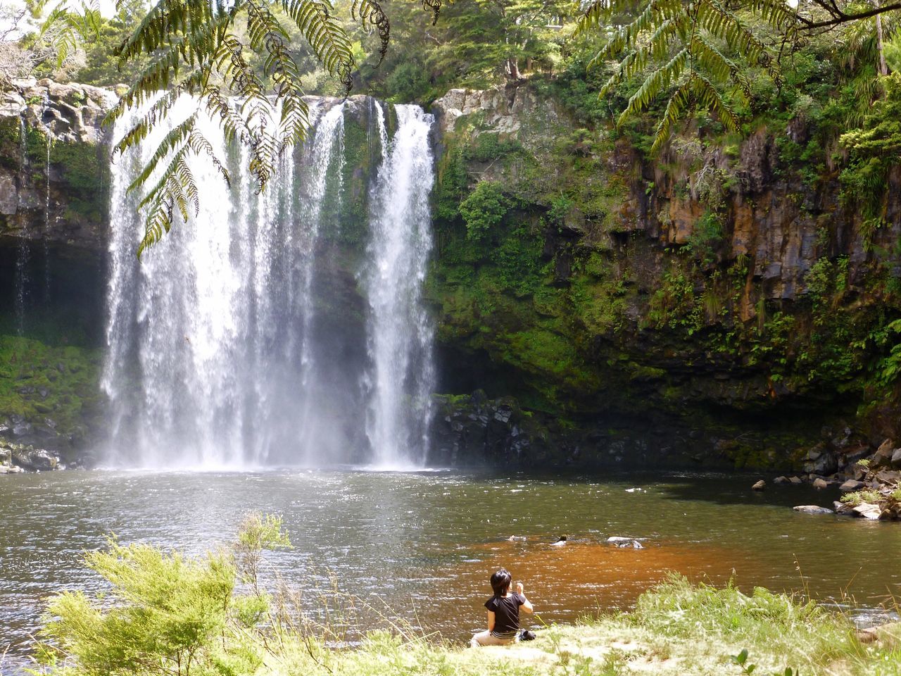 WATERFALL IN FOREST