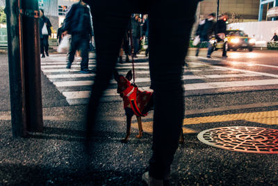 Low section of woman and dog standing on sidewalk at night in city