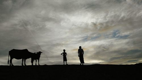 Silhouette father and son standing by cows on field against cloudy sky