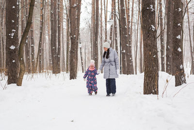 Panoramic view of people on snow covered land