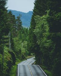 Road amidst trees against sky