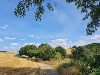 Trees on field against sky