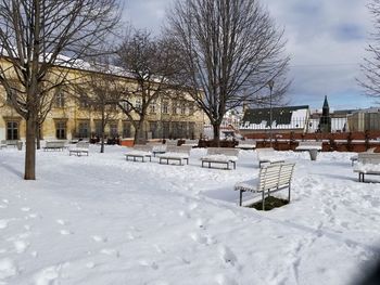 Snow covered bare trees and buildings against sky