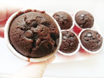 Close-up of hand holding chocolate cake