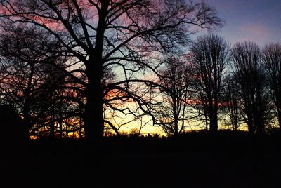 Silhouette bare trees against sky during sunset