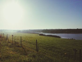 Scenic view of grassy field