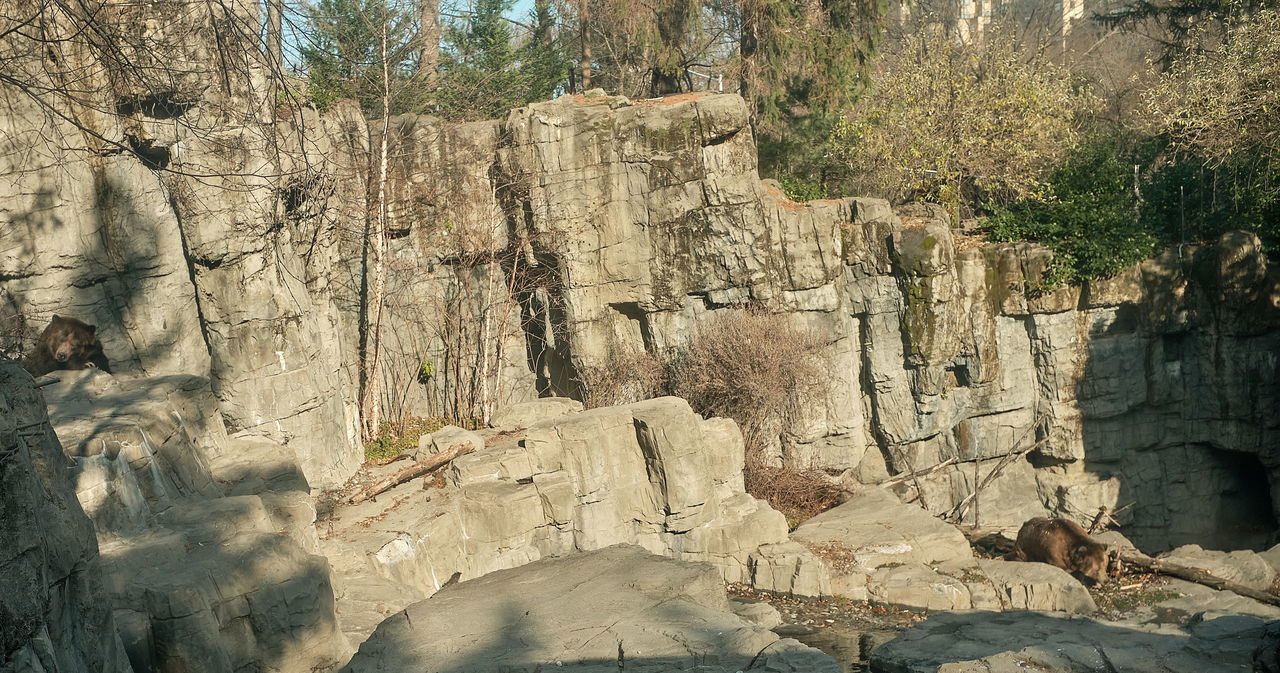 VIEW OF ROCK FORMATION ON LAND