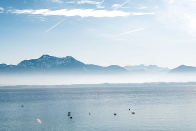 Birds swimming in mountains against sky