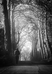 Rear view of man walking in forest