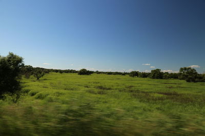 Scenic view of landscape against clear blue sky