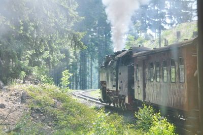 Train amidst trees in forest against sky