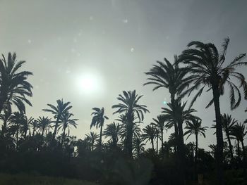 Low angle view of silhouette trees against bright sun